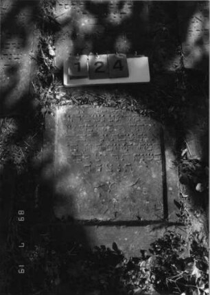 Grabstein 124 (Index: 99796452) Material: Sandstein Zustand: gut Maße HxBxT: 0x0x0 cm Beschreibung: Stele, Schriftfeld eingetieft Symbolik: Ranke: Grabstein 124