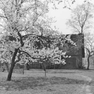 Strohgedecktes Blockhaus des Gehöftes Löwa in Burg-Kauper. : Ze słomu skryte kładźite twar Löwec statoka w Kupaŕskich Bórkowach.