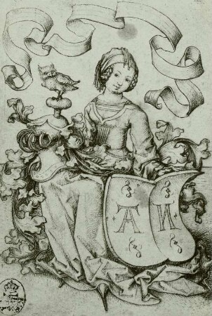 Die Dame mit dem Buchstabenwappen
