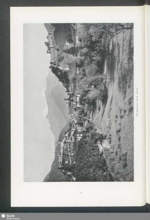 Bellinzona (Kt. Tessin)
