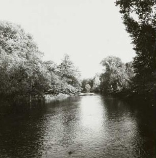 Spree am Elisabeth-Wolf-Ufer