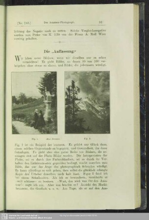 Die "Auffassung"
