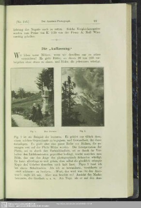 Die "Auffassung"