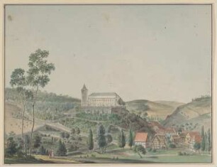 Schloss Ziegenberg zwischen Usingen und Nauheim