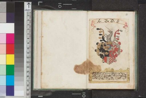Bräuner, Hans; Blatt 11