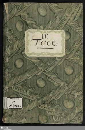 Voce