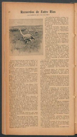 Recuerdos de Entre Ríos : Una mañana en "San Silvano"