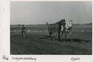 Frühjahrsbestellung - Eggen der Felder