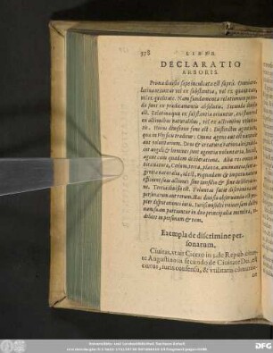 Declaratio Arboris.