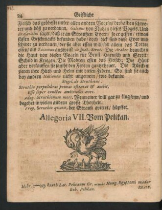 Allegoria VII. Vom Pelikan.