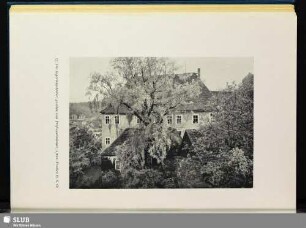 Die Superintendentur, gesehen vom Professorenhaus