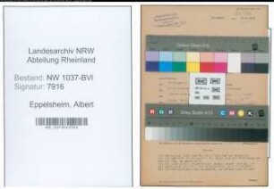 Entnazifizierung Albert Eppelsheim , geb. 10.02.1900 (Metzger)