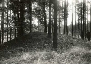Bronzezeitliches Hügelgrab (mittlere bis jüngere Bronzezeit, Lausitzer Kultur) im Forst Nimbschen ("Klosterholz") im Kreis Grimma