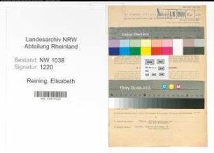 Entnazifizierung Elisabeth Reining , geb. 11.12.1903 (Lehrerin)
