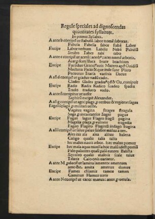 Regule speciales ad dignoscendas quantitates syllaba[rum].