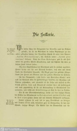 Die Sellerie
