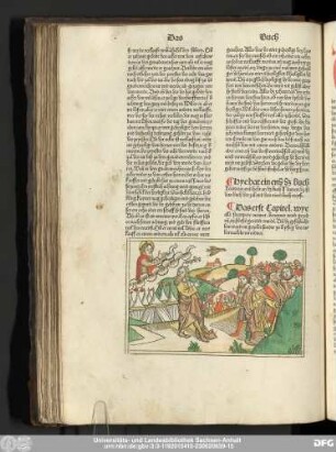 [Numeri, Cap. I-XXXVI]