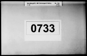 Anstellung der Auditoren bei sämtlichen Bergämtern, Band 4