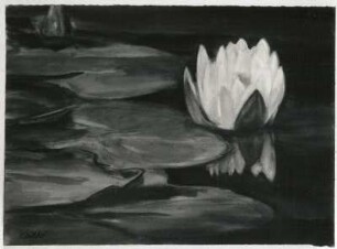 Teichrosen : Gelbke, Georg: Teichrosen. Aquarell; 28 x 38,2 cm. Privatbesitz