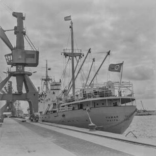 Urlaubsbilder Rostock 64 : Rostock. Hafen. Israelisches Handelsschiff "Tamar" am Kai