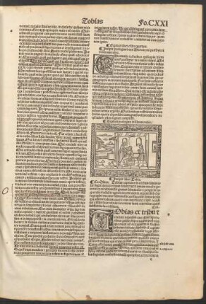 Incipit liber Tobie.