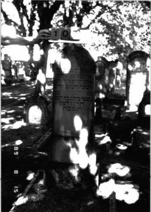 Grabstein 107 (Index: 100105369) Material: Sandstein, Sockel Muschelkalk Zustand: verwittert mit Textverlust Maße HxBxT: 127x37x18 cm Beschreibung: Stele, Sockel, Spitzbogenabschluß: Grabstein 107