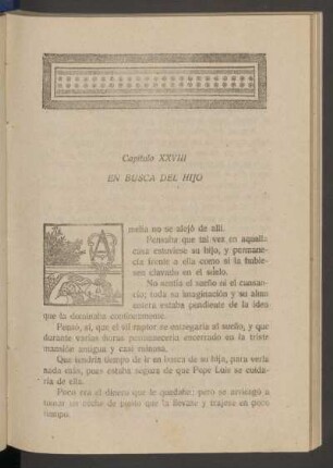 Capítulo XXVIII - En busca del hijo