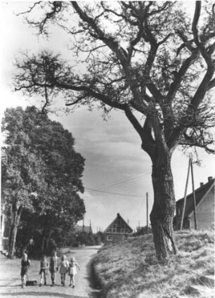 Bispingen. Am Elbdeich an der Mündung der Luhe in die Elbe. Kinder spazieren auf der Dorfstraße