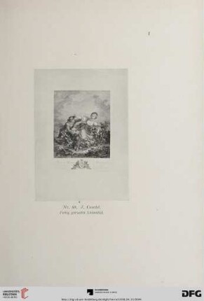 Tafel I-XXVIII