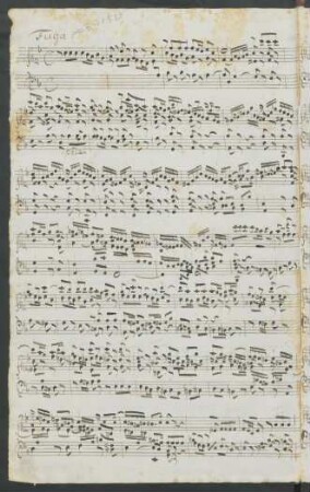 Präludien und Fugen. Auszüge; org; d-Moll; BWV 539/2