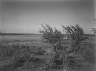 Flache Landschaft : Blick über eine offene, flache Landschaft