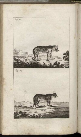 Fig. 38. - Fig. 39.