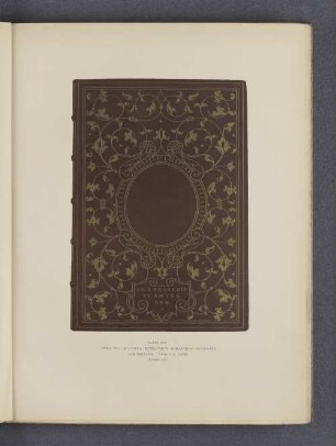 Plate XIV.