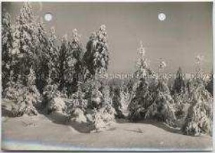 Winterlandschaft, Harz