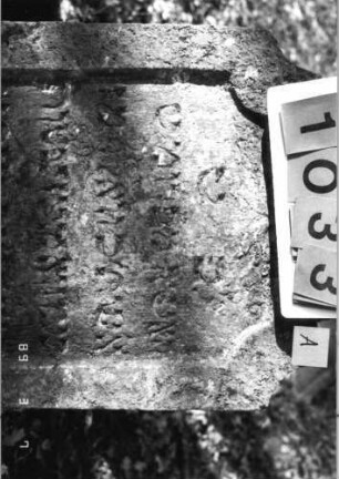 Grabstein 1033 (Index: 99751272) Material: Sandstein Zustand: verwitt/Stele nach hinten gekippt Maße HxBxT: 117x60x11 cm Beschreibung: Stele, doppelt eingezogener Rundbogenabschluß, Schriftfeld eingetieft Symbolik: Blätter: Grabstein 1033A