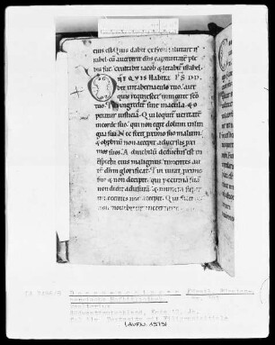 Hs.181 & Psalterium & fol 11v