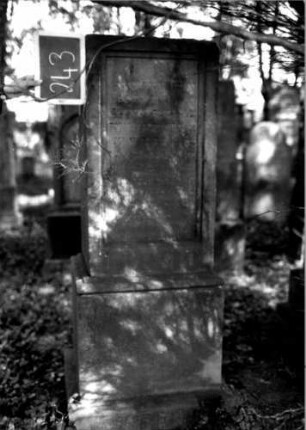 Grabstein 243 (Index: 100112124) Material: Sandstein Zustand: verwittert Maße HxBxT: 158x50x40 cm Beschreibung: rechteckige Stele, profilierter Sockel, Schriftfelder eingetieft: Grabstein 243