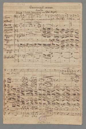 2 Marienlieder, T, strings, timp, op.64 - BSB Mus.ms. 10119 : [without title]