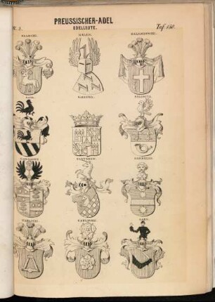 Taf. 180. Galecki. - Galen. - Galenzowski. - Gall. - Gallera. - Gallwitz. - Gansauge. - Gantzkow. - Gardelle. - Garlicki. - Garlinski. - Garn