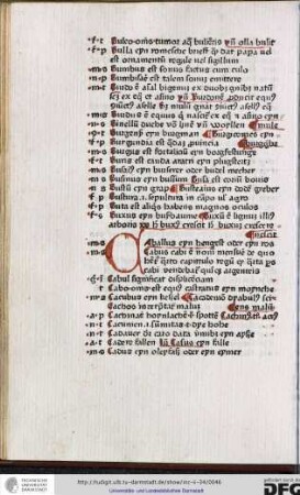 Caballus eyn gengest oder eyn ros.