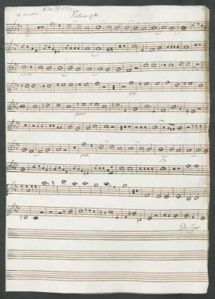 Violino 4to