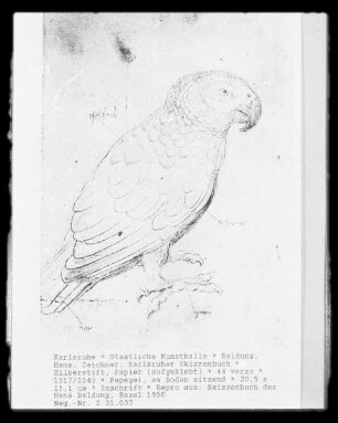 Karlsruher Skizzenbuch: Papagei am Boden sitzend