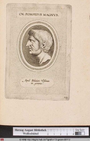 Porträt des Pompeius Magnus.