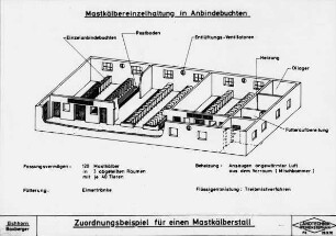 Zuordnungsbeispiel für einen Mastkälberstall