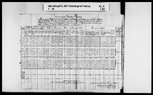 Revision des Bergamts Altenberg mit Berggießhübel und Glashütte, Band 3