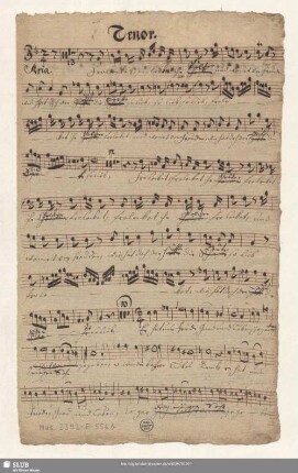 Tenor. [Solo, unvollst.]