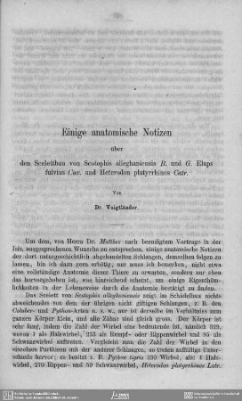 Einige anatomische Notizen über den Scelettbau von Scotophis alleghaniensis B. und G. Elaps fulvius Cuv. und Heterodon platyrrhinos Catr.