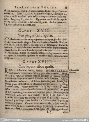 Caput XVIII. Caro leporis cibus qualis.