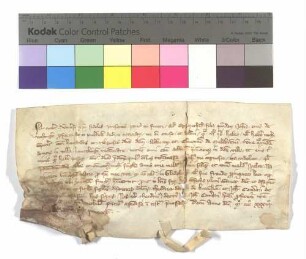 Fertigung, als Mechtild, Johann von Vaihingens Tochter, auf ihre Ansprüche an etliche Häuser zu Knittlingen gegen das Kloster Maulbronn verzichtet.