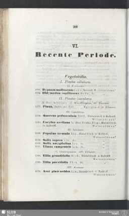 VI. Recente Periode